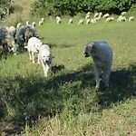 Vakantieboerderij Azienda Agrituristica Carida *