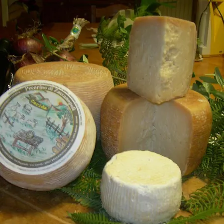 مزرعة للإقامة Azienda Agrituristica Carida