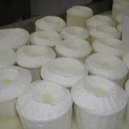 Azienda Agrituristica Carida *