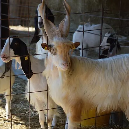 Azienda Agrituristica Carida