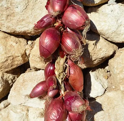 Azienda Agrituristica Carida 农家乐 Zaccanopoli