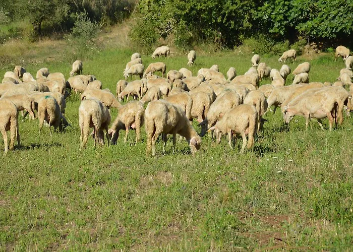 Azienda Agrituristica Carida 农家乐 *