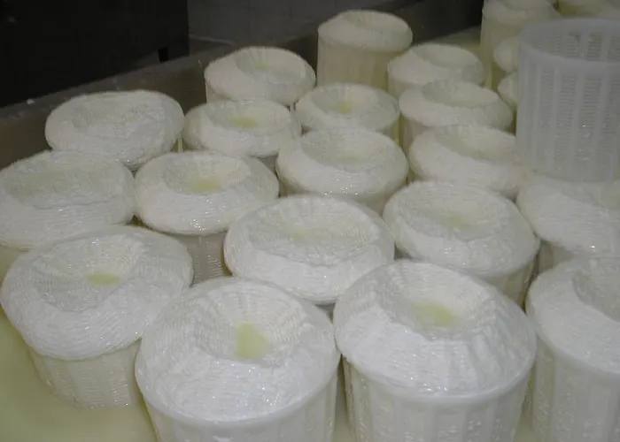 Azienda Agrituristica Carida *