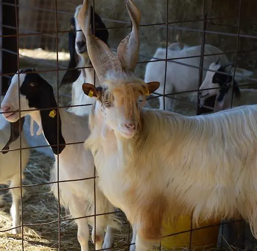 Azienda Agrituristica Carida